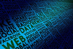 华体会app注册-中国篮球教练员专业发展规划与培训体系建设,篮球教练员培训计划方案