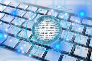 华体会官网-篮球专项技能教学创新实践及效果评估，篮球教学实施报告 教学能力比赛