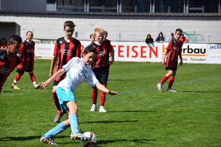 -未来足球场馆实现“碳中和”目标，绿色科技应用成果显著