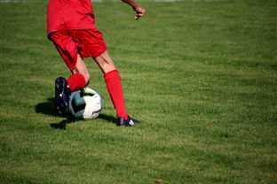 华体会在线-跨国足球合作项目实现深度融合,推动国际青训体系建设,国际足联青训定义