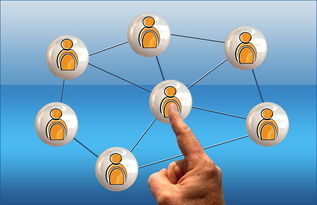 华体会在线-跨国足球合作项目实现深度融合,推动国际青训体系建设,国际足联青训定义